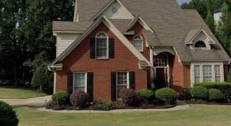 Garden Gingerbread Bar